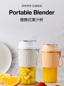 乐扣乐扣便携式榨汁杯